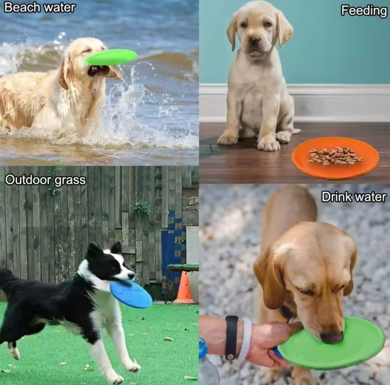 Dog Rubber Flying Disc