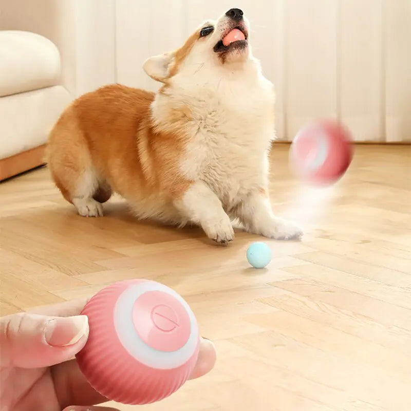 Smart Electric Rolling Ball for Cats & Small Dogs