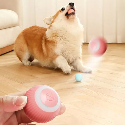Smart Electric Rolling Ball for Cats & Small Dogs