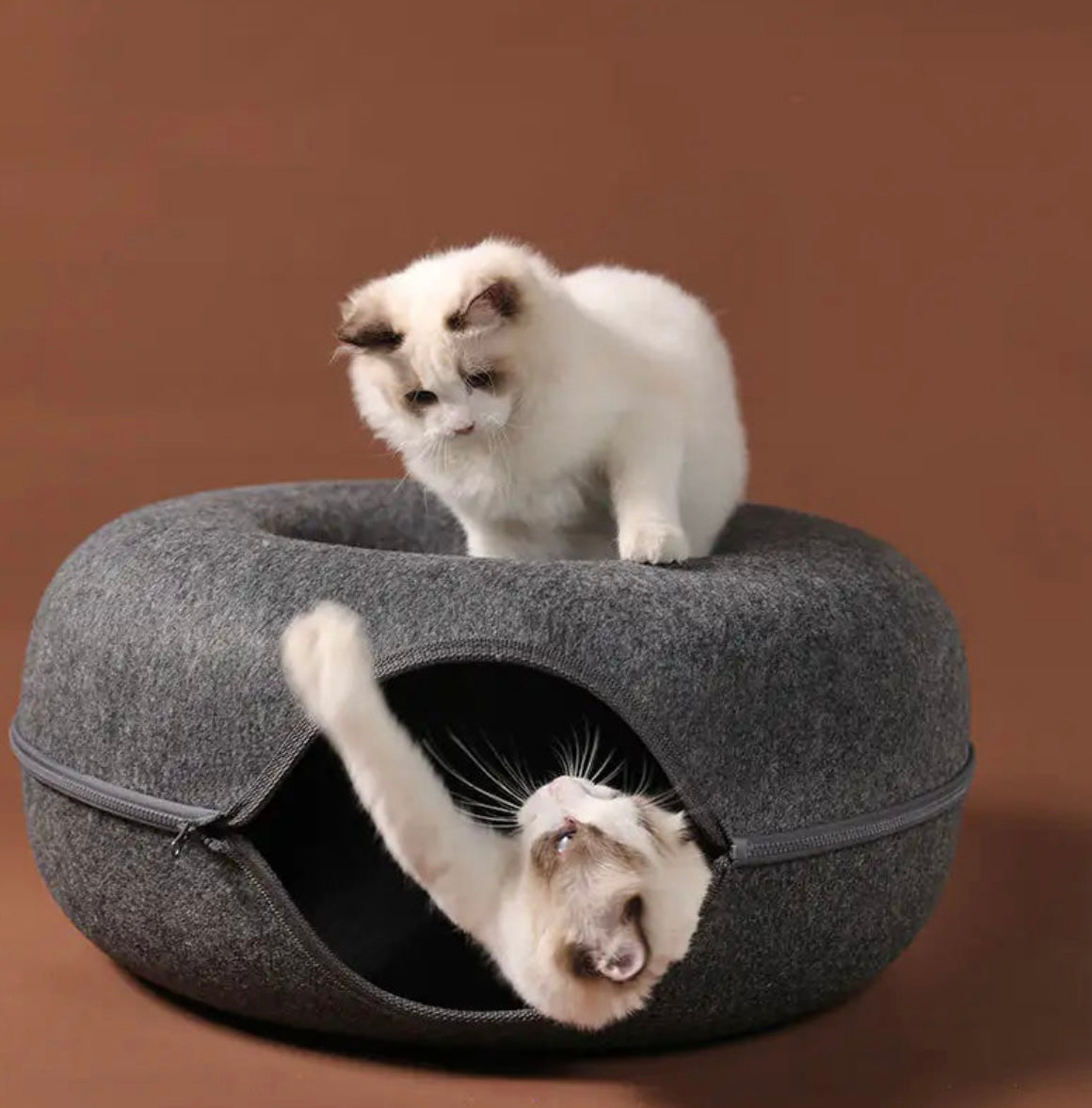 Donut Cat Bed