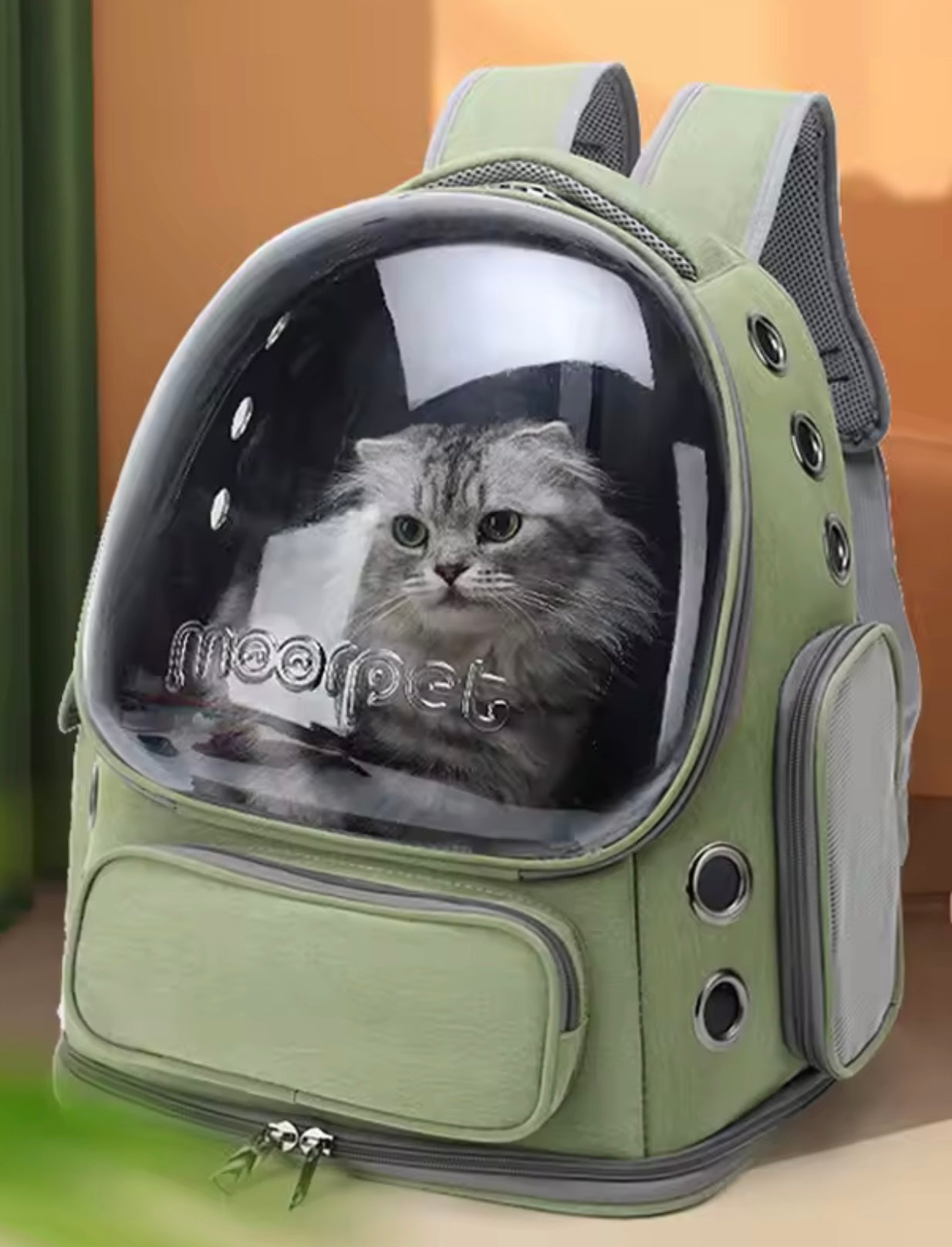 Transparent Pet Cat Carrier Bag