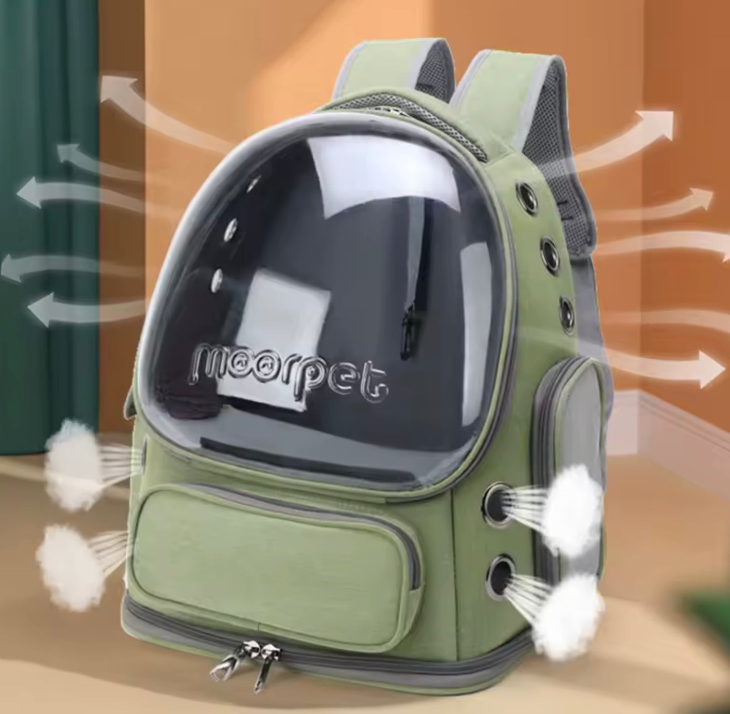 Transparent Pet Cat Carrier Bag