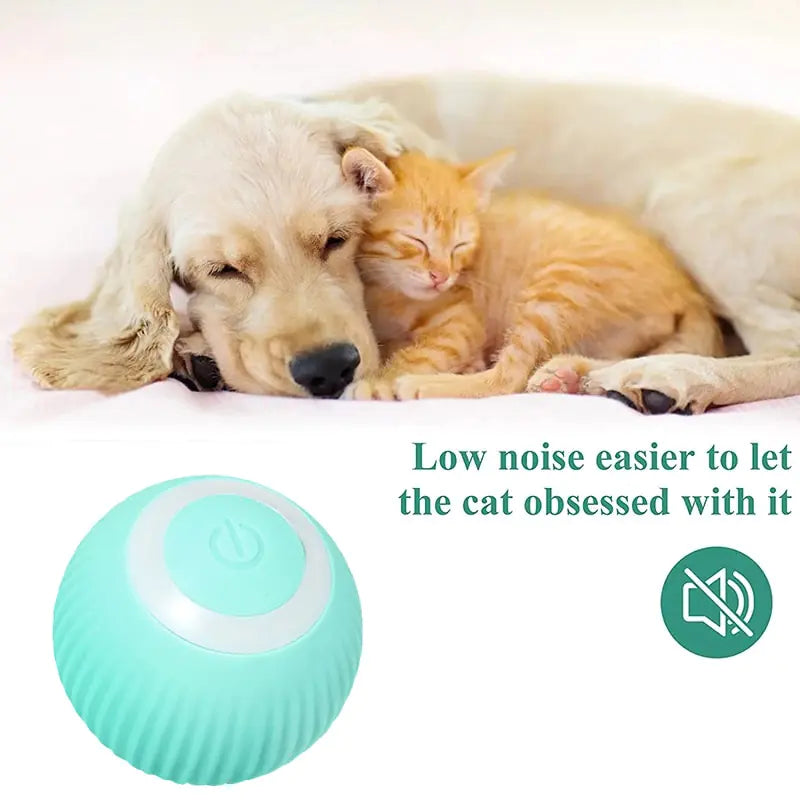 Smart Electric Rolling Ball for Cats & Small Dogs