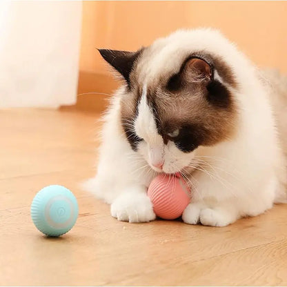 Smart Electric Rolling Ball for Cats & Small Dogs
